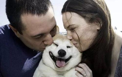 娱乐吃瓜酱最幸福的狗狗,揭秘最幸福的狗狗生活